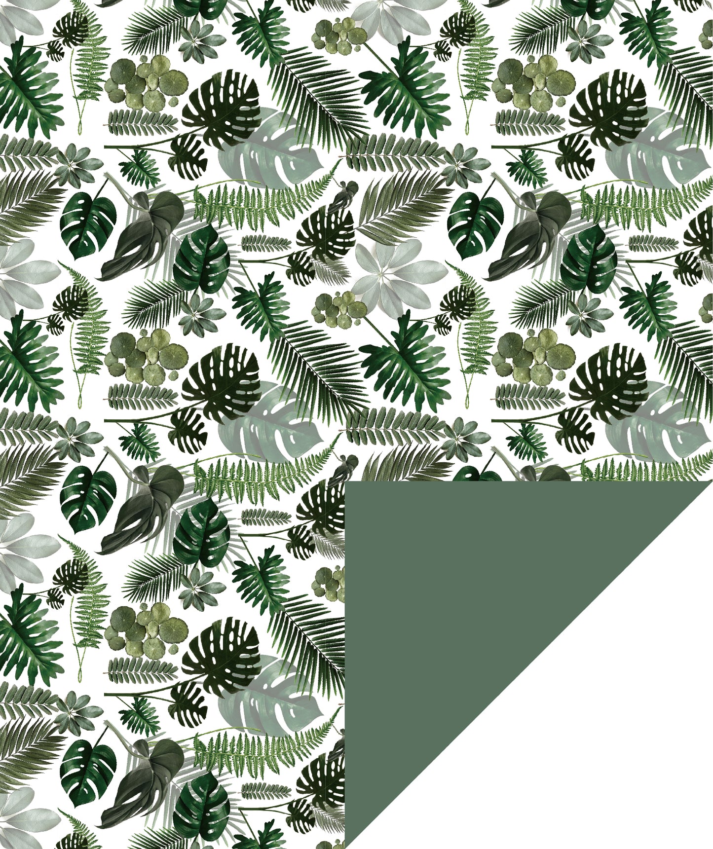 Monstera Leave Wrapping Paper with Green Color Jumbo Roll Wholesale Wrapaholic