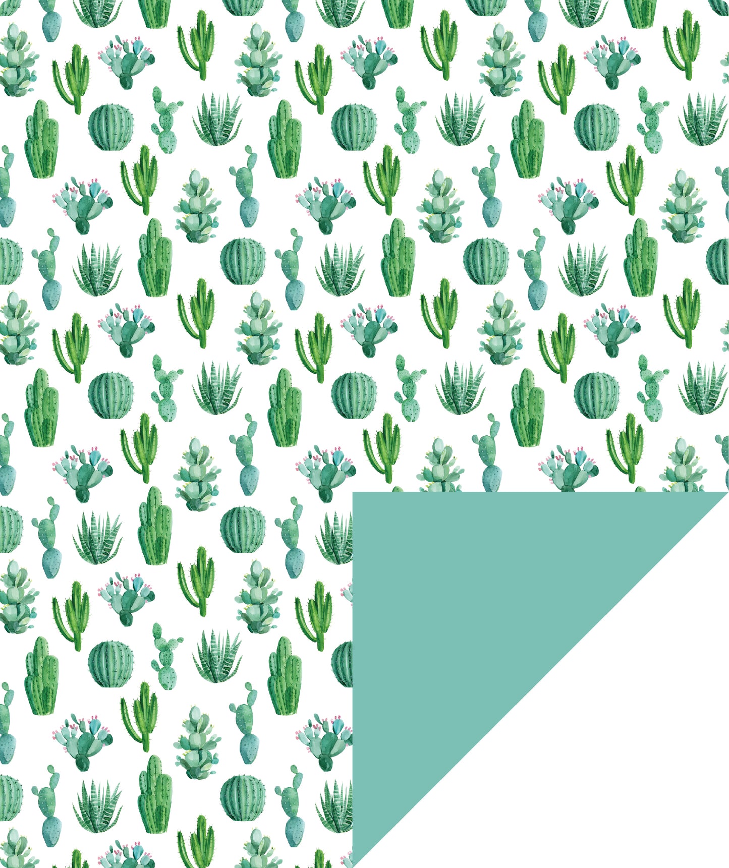 Watercolor Cactus Wrapping Paper with Mint Color Packing Paper Supply Wrapaholic