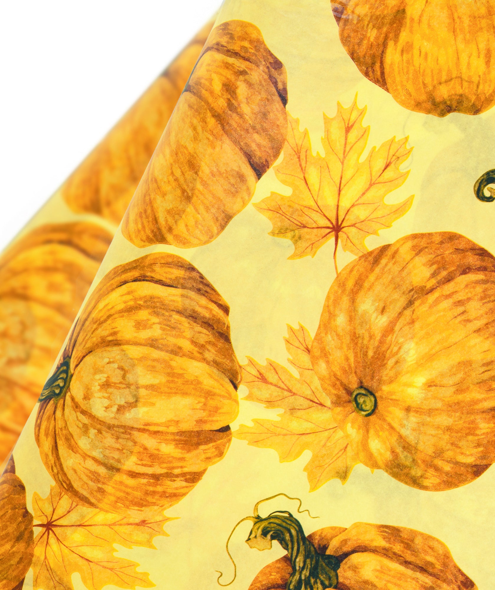 Autumn Pumpkin Tissue Paper 20" x 30" Bulk Wholesale Wrapaholic