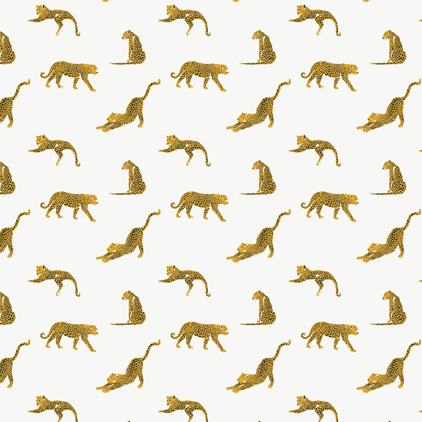 Leopard Flat Wrapping Paper Sheet Wholesale Wraphaholic