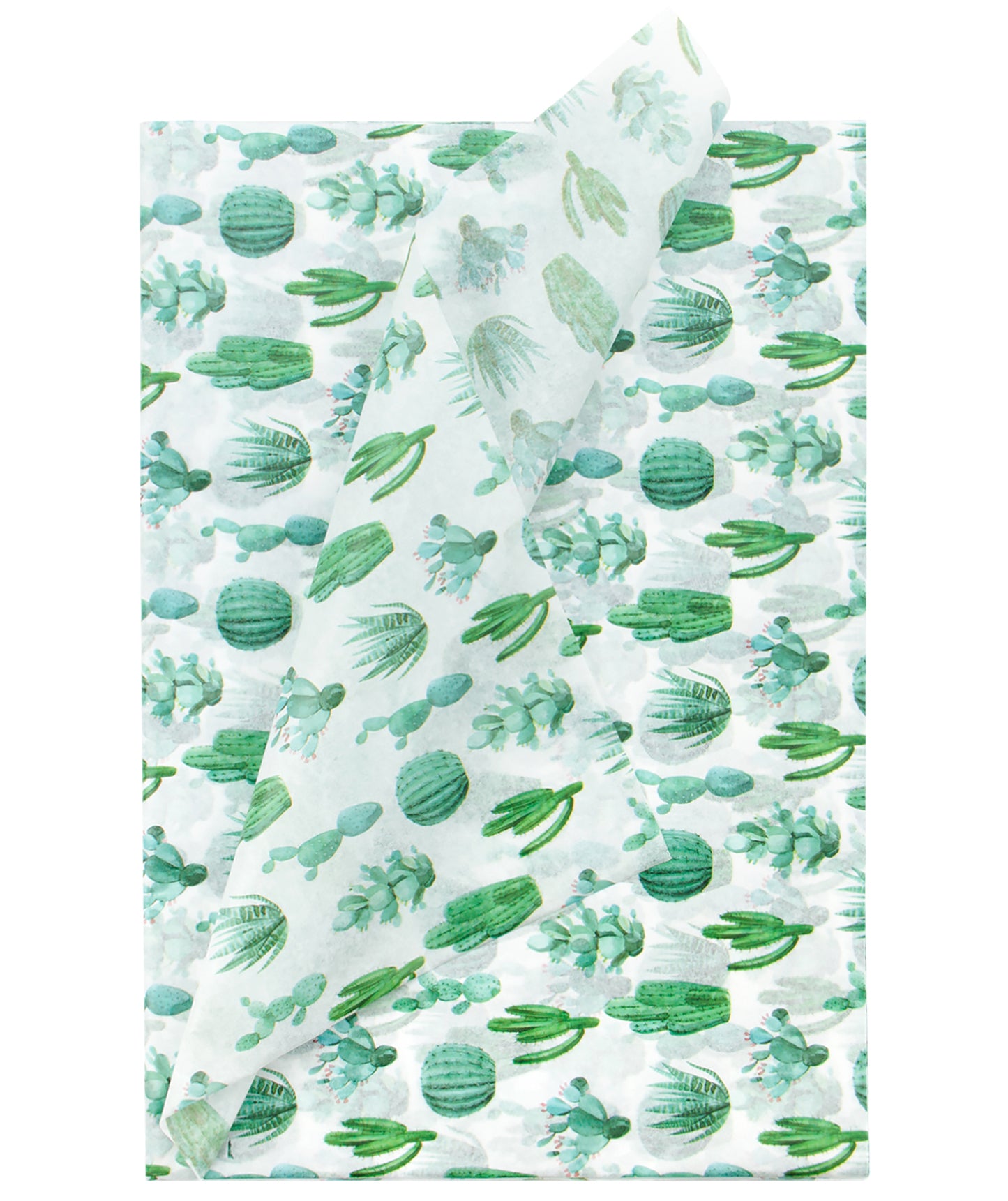 Watercolor Cactus Greenery Tissue Paper 20" x 30" Bulk Wholesale Wrapaholic